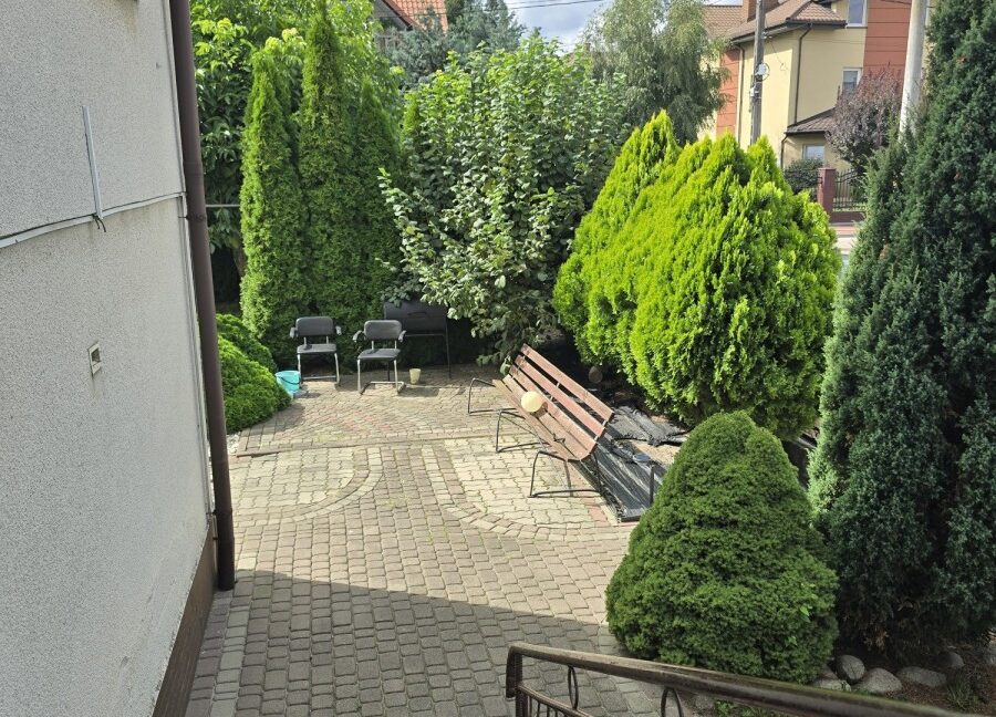 26387644