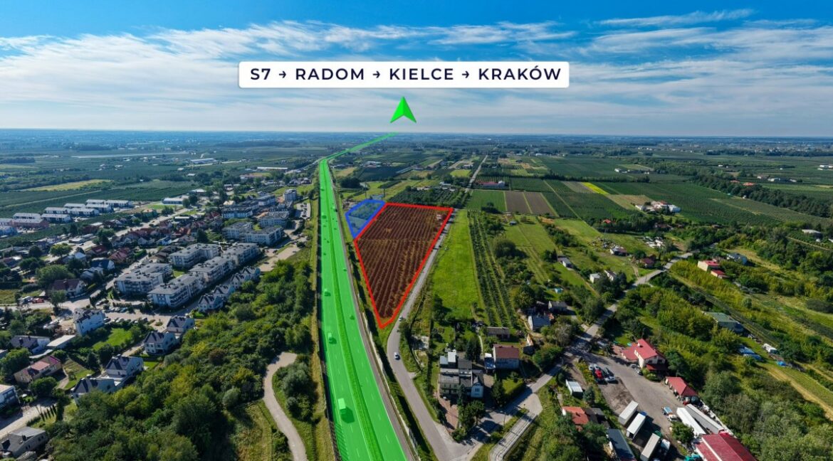 26389025