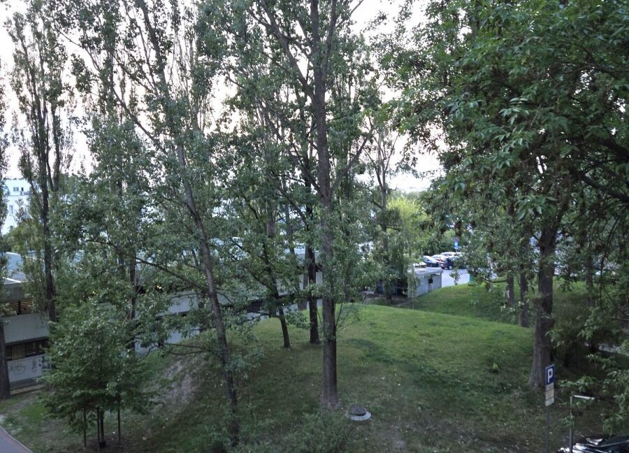 26390536