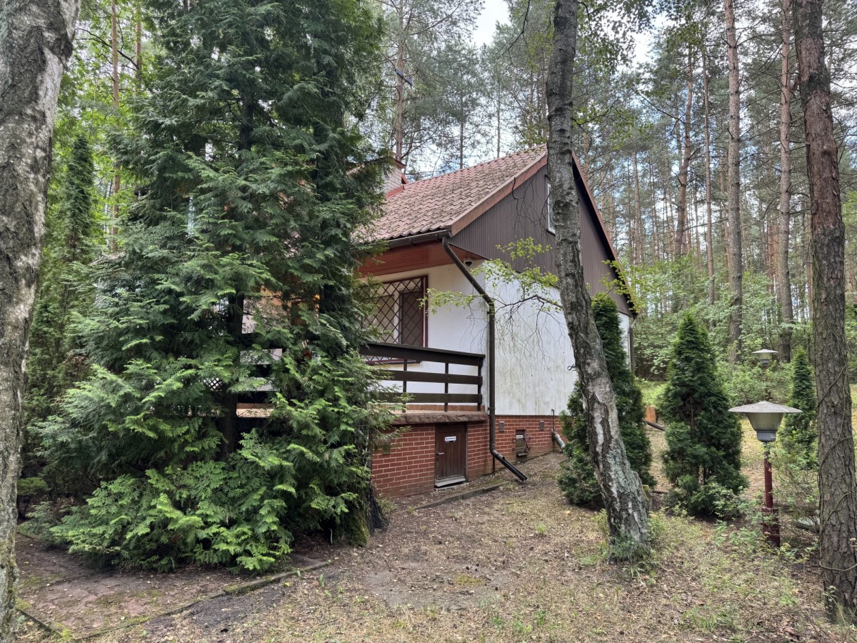 Dom 80m2 położony w lesie 30 km od Warszawy