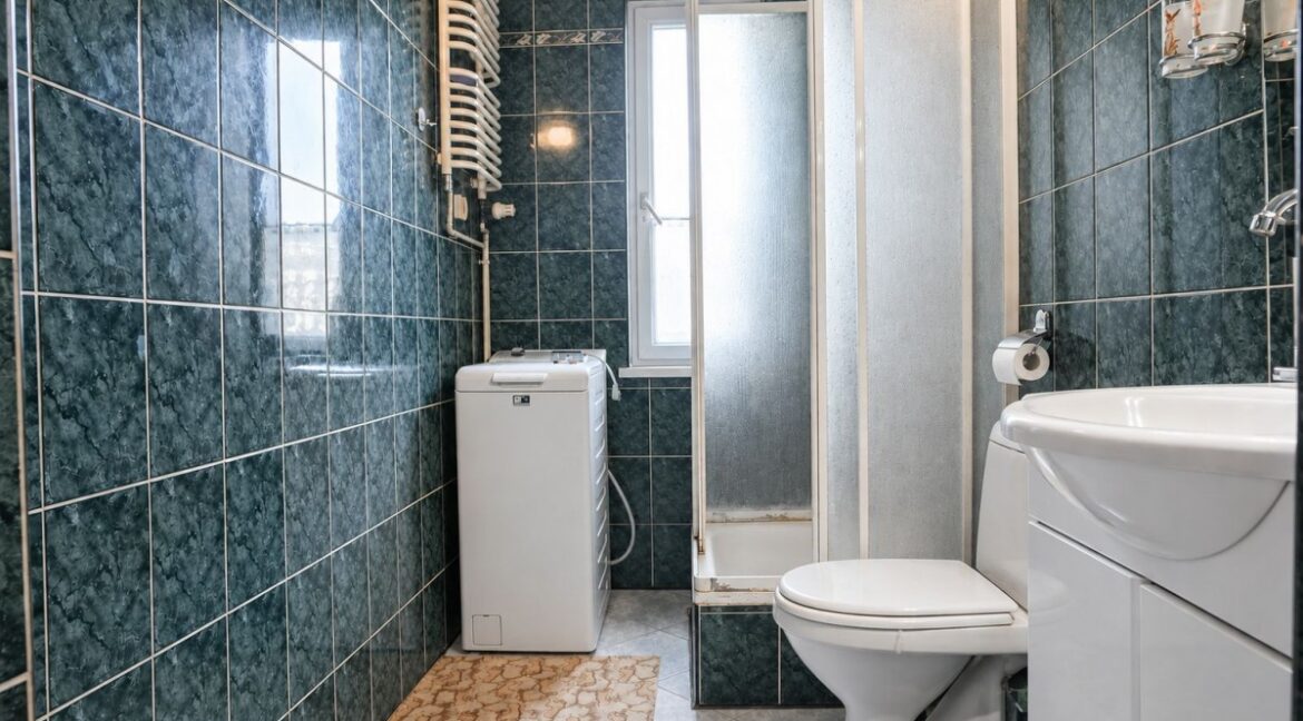 26461921