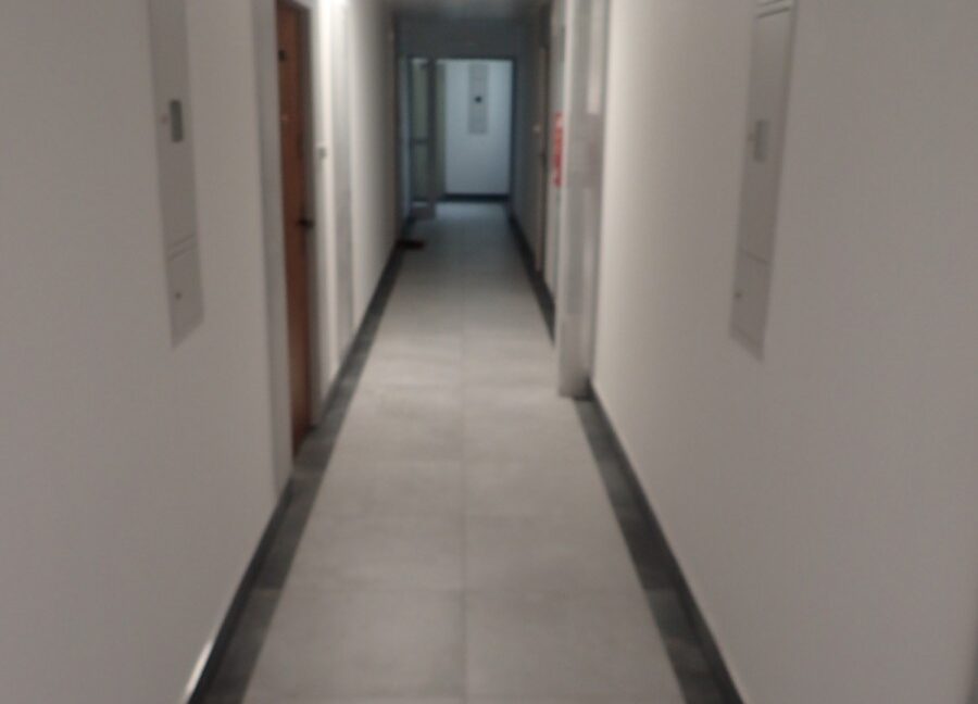 26494075