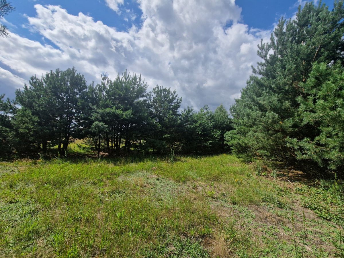 Okazja_super cena_Działka idealna na relaks