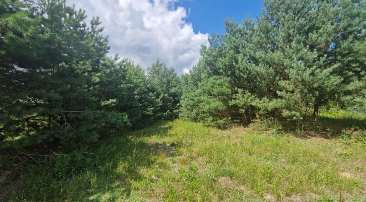 26503860