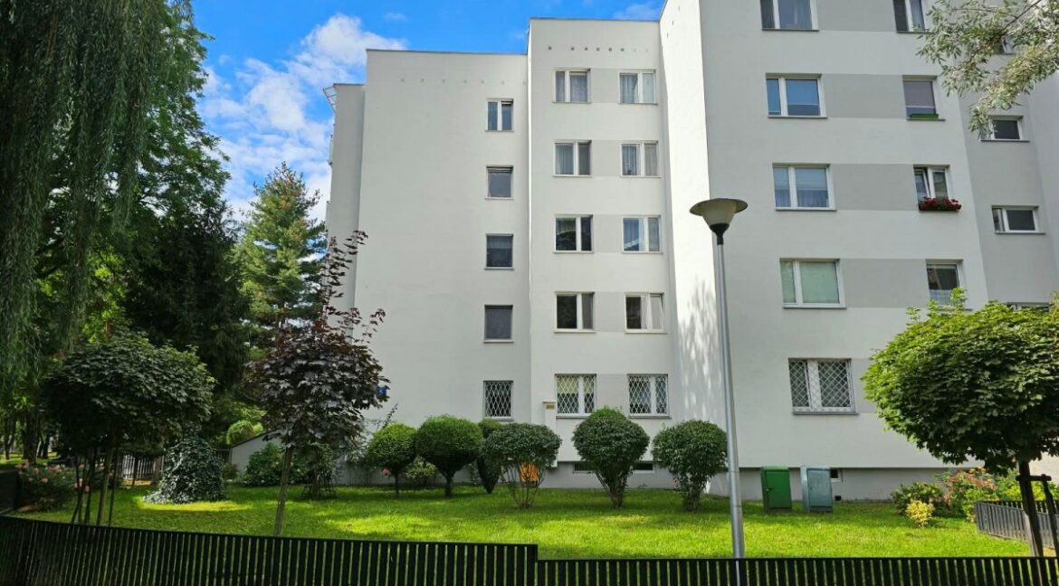 26541541