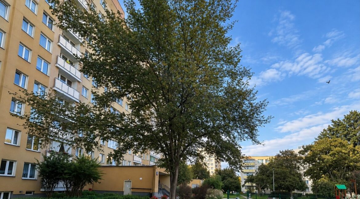 26565394