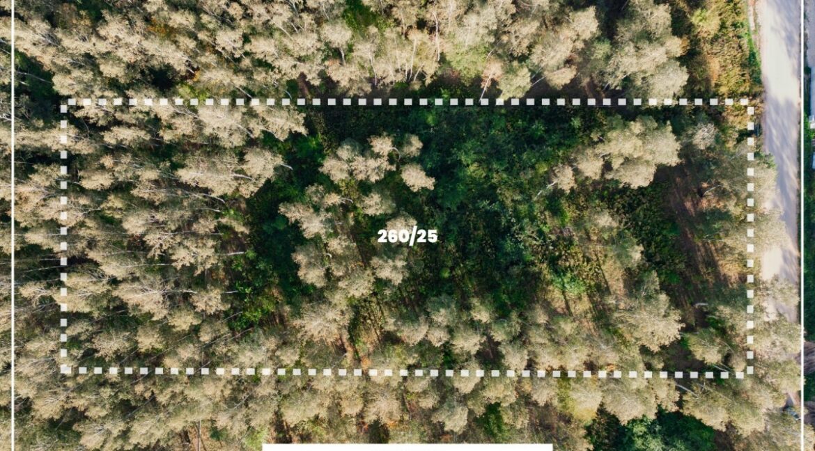26648726