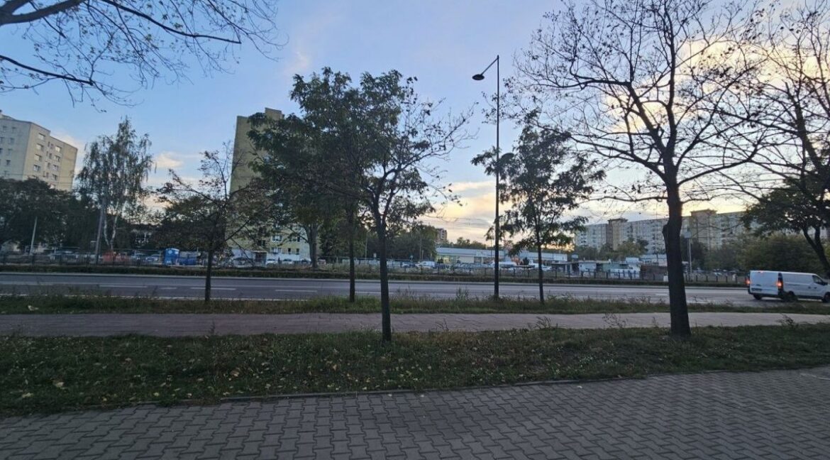 26648991