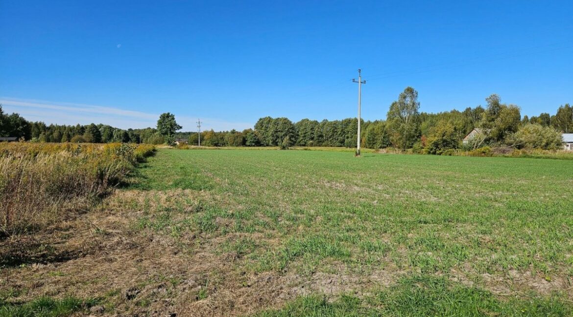 26689530