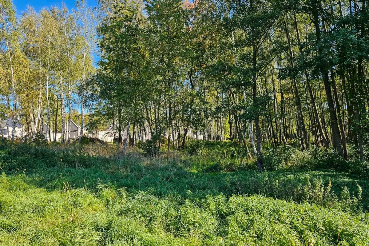 Działka budowlana 2494m2 z lasem nad rzeczką