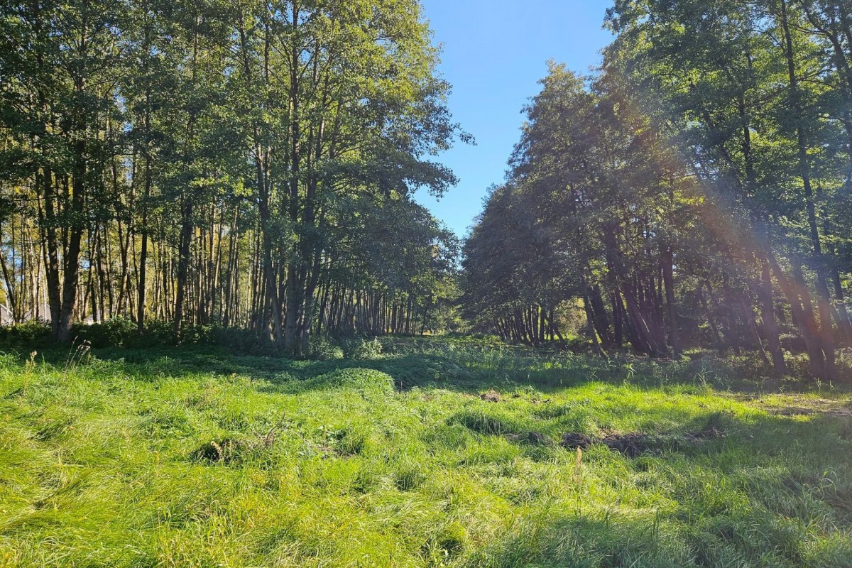 Działka budowlana 1931m2 z lasem nad rzeczką