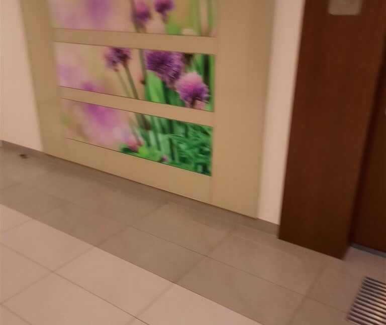 26730551